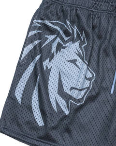 HIC Custom Men's Basketball Shorts 150Grams Double-<b>Layered</b> Mesh 100% Polyester Breathable <b>Mid</b> High Quality OEM Service Summer - Product Image 2