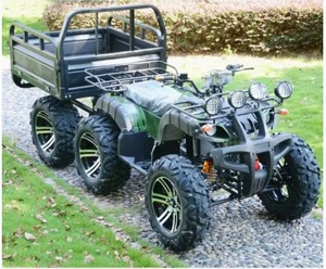 Cuatrimoto de Gasolina de 250cc para Transporte de Corta Distancia, con Certificado CE y Logotipo Personalizado - Product Image 1