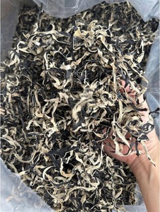 Dried Cloud Wood Ear Fungus Black Mushroom for Asian Food and Catering Use - Product Image 4