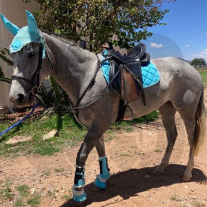 Nuevos Juegos de Sudaderos para Caballos de Alta Calidad, Modernos, OEM, ODM, Suaves, Transpirables, Duraderos, Antideslizantes, Colores Personalizados para Salto y Doma - Product Image 5