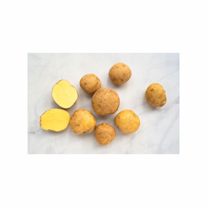 Meilleure vente de frites de pommes de terre fraîches biologiques à bas prix en gros pour des frites surgelées directement d'Autriche - Product Image 1