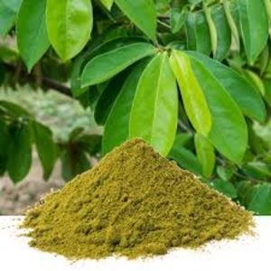 L'entrepôt USA/EU/Asia offre un extrait de plante en poudre de feuilles de corossol naturel en vrac - Product Image 5