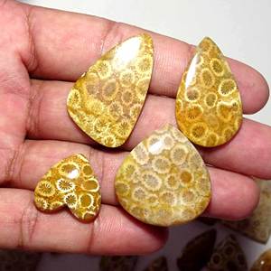 Cabochon de pierres précieuses en vrac de corail fossilisé naturel de meilleure qualité mélange de pierres précieuses en vrac forme et taille utilisation de pierres précieuses pour la fabrication de bijoux - Product Image 2