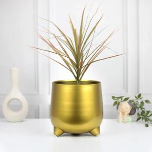 Maceta de Metal con aspecto martillado y acabado de latón brillante hecha a mano para vegetación Interior del hogar y atractivo estético para uso en el jardín - Product Image 1