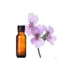 Aceite esencial de geranio de etiqueta privada de suministro OEM para el cuidado de la piel y el cabello aceite de geranio de bajo precio - Product Image 6