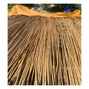 Poteau de canne en rotin sec pelé lisse-Poteaux en rotin massif poli naturel à vendre de l'usine du Vietnam - Product Image 6