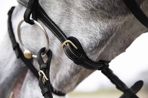 2019 alta calidad diseño personalizado caballo snaffle cuero brida cuero Real al por mayor con precio barato - Product Image 4