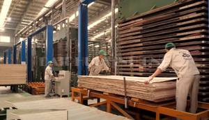 Nivel de ualidad de 3mm-25mm, placas iberizas de 3mm-25mm, rom - Product Image 3