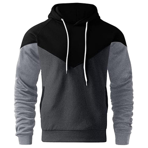Automne hiver hommes haute qualité 100% coton polaire pull européen américain pull à capuche Micro Logo imprimé Patchwork XS taille - Product Image 1