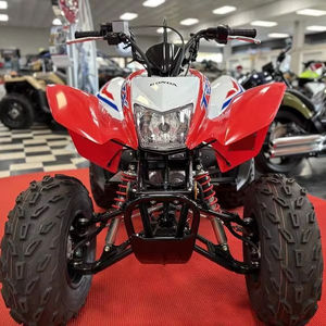 Offre Annuelle 2025 – Nouvelles Motos Honda TRX250X (Jeunesse) - Product Image 1