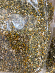 Flores de Manzanilla de alto grado | Infusión de hierbas naturales | Proveedor de exportación a granel - Product Image 5