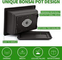 Kit d'arbre bonsaï avec outils complets de culture de plantes grandir en pot Kit de démarrage d'arbre bonsaï d'intérieur maison jardinage bricolage cadeau pour adulte