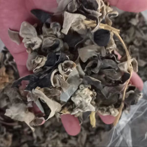 Champignons de bois séchés vietnamiens de haute qualité pour les soupes et les plats sautés - Product Image 1