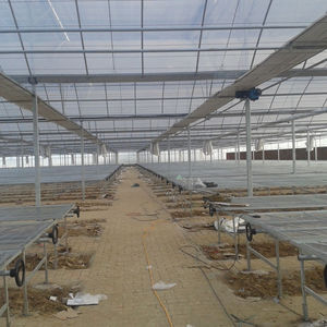 Banco rodante hidropónico de inundación y drenaje EBB-Marco de acero resistente-Para invernaderos - Product Image 2