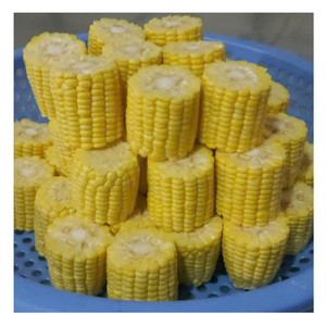 Maïs congelé en vrac Vietnam maïs congelé emballé soigneusement dans des boîtes de la chaîne du froid, prêt à être utilisé dans les cuisines et les ensembles de repas surgelés - Product Image 1
