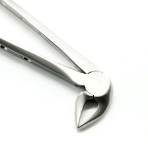 Fórceps de extracción de Instrumentos dentales de alta calidad Fórceps de extracción dental en caja de embalaje de calidad superior - Product Image 2