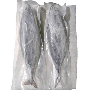 Atún Fregata Entero Congelado, Captura Salvaje, LQF, Envasado al Vacío a Granel, Exportador de Pescado de Vietnam, Proveedor Mayorista - Product Image 4