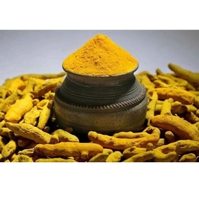 Doigts de curcuma séchés bruts de qualité supérieure, sélectionnés à la main, couleur jaune vif, pour applications culinaires et herbales, prix de gros - Product Image 6