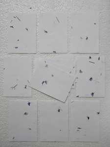 Corn Flower Petal Handmade Papers Available in Sheet <b>Size</b> of 5*7 Inches Suitable for Wedding Cards and Wedding Stationers - Product Image 5