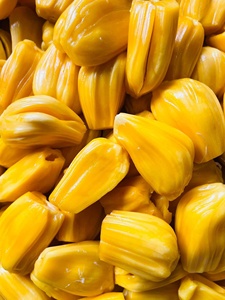 JACKFRUIT CONGELADA IQF DE ALTA CALIDAD DE VIET NAM FACTORY - Product Image 5