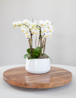 Draaibare ronde acaciahouten vintage handgemaakte Lazy Susan presentatiestand voor kruiden en specerijen met 360 graden draaibare tafel