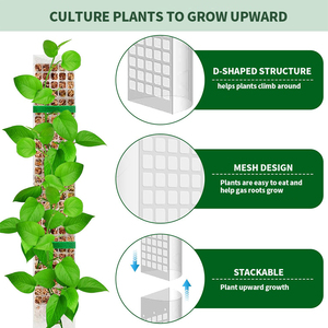 Poste de musgo modular en forma de D, recubierto de plástico, de 48 pulgadas, extensible con sistema de encaje a presión, para invernadero, soporte sencillo para plantas - Product Image 4