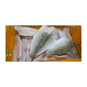 Barramundi surgelé de qualité supérieure disponible en gros à un prix d'usine compétitif - Product Image 2