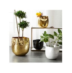 Plantas decorativas de oro Contenedor de hierbas Vasos de decoración del hogar de gran tamaño Macetas domésticas para proveedores mayoristas - Product Image 3