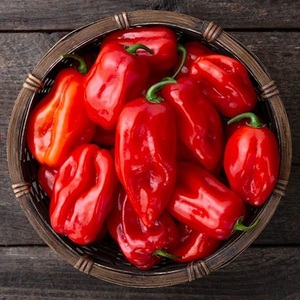 Suministro al por Mayor de Chile Habanero Seco y Triturado Natural para Sazonar, Importadores Internacionales, Distribuidores Mayoristas - Product Image 6