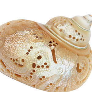 Arte tallado JOYERÍA SEASHELL con arte tallado 10 cm Motivo Estilo de flor de concha hecha de concha - Product Image 4