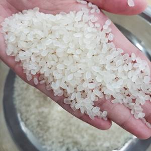 Nouvelle Récolte 2024 Riz Japonica à Grains Moyens Texture Douce Blanc Séché Sud-Mékong Vente en Gros - Product Image 3