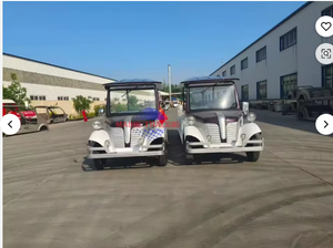 Último Modelo de Coche Eléctrico Clásico para Turismo con Motor de CA de 5KW y Colores Personalizables - Product Image 2