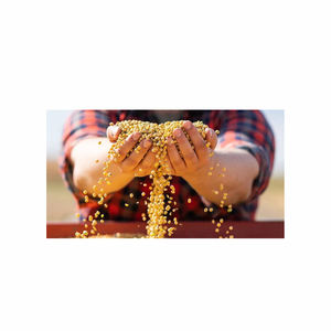 Harina de soja alta en proteínas, stock fresco de fábrica, mejores ventas para piensos para ganado, precio bajo - Product Image 3