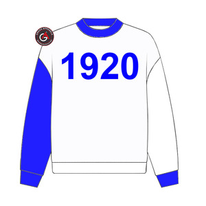 Sudadera con capucha de parafernalia bordada de hermandad de mujeres Zeta Phi Beta griega personalizada - Product Image 3