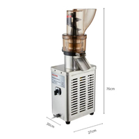 Extracteur de jus commercial multifonction haute performance sans pression pour fruits et légumes (carotte, gingembre, orange, pomme)