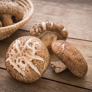 Hongos Shiitake Crudos Cultivados Orgánicamente 10 kg Secos - Product Image 5