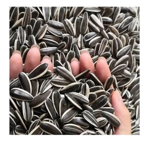 Graines de tournesol décortiquées, riches en nutriments, pour la transformation alimentaire et la production de snacks, approvisionnement en gros de graines de tournesol - Product Image 1