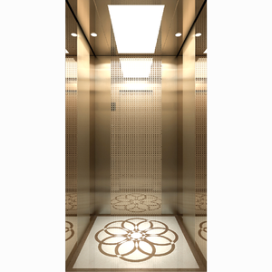 Ascensori Domestici Piccoli Sabbiati Color Oro Champagne <span class=keywords><strong>in</strong></span> <span class=keywords><strong>Vendita</strong></span> 320kg 400kg Ascensore Residenziale per Uso Domestico Villa Casa - Product Image 3