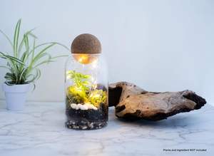 Terrarium <span class=keywords><strong>en</strong></span> verre avec couvercle <span class=keywords><strong>en</strong></span> bois hermétique, terrarium <span class=keywords><strong>fermé</strong></span>, pot de plantation, <span class=keywords><strong>bocal</strong></span> <span class=keywords><strong>en</strong></span> verre transparent, récipient de 1200 ml (40 oz), écosystème d'intérieur - Product Image 3