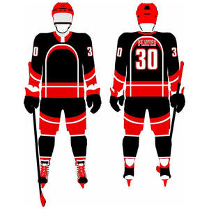 Conjunto de uniforme de hockey sobre hielo personalizado para hombre 100% poliéster transpirable de secado rápido a prueba de viento Jersey y pantalones cortos de hockey sobre hielo para hombre 2025 - Product Image 3