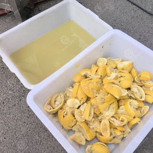 เครื่องคั้นน้ำผลไม้แบบลูกกลิ้ง 1 ตัน/ชม. สำหรับส้ม มะนาว ขายดี - Product Image 4