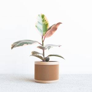 Maceta de bambú Natural redonda elegante ecológica de calidad superior para plantas de interior y exterior para la decoración de la habitación del hogar del jardín - Product Image 3