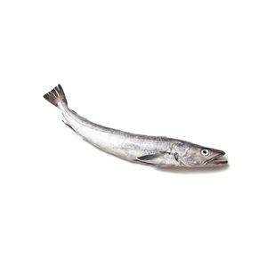 Caballa fresca, pescado entero del océano, marisco refrigerado de alta calidad - Product Image 5