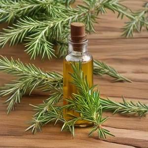 100% pure rose marier espagne Essentie huile en gros en vrac essentiel romarin espagne huile naturelle et pure romarin espagne huile - Product Image 3