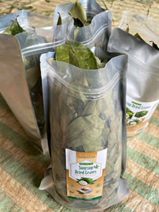 Hojas de Guanábana secas Ingrediente de té de hierbas naturales Hoja de Graviola Seca bajo la luz del sol en Vietnam - Product Image 3