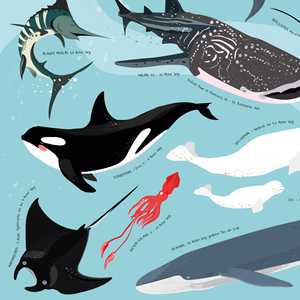 Póster de Criaturas Marinas de Cumpleaños: ¡Descubre las Aventuras Subacuáticas! - Product Image 6