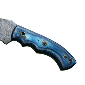 OEM Natural Wood Handle Stainless Steel Serrated Edge <b>Blade</b> 3-Year Warranty Pocket <b>Knife</b> Portable Outdoor Survival <b>Knives</b> - Product Image 3