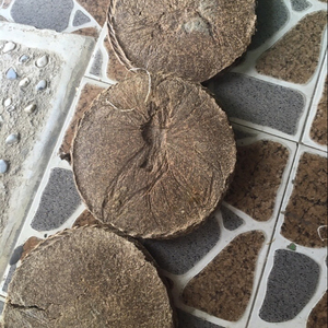 Tourteau d'arachide naturel extrait de biofertilisant déchets agroalimentaires tourteau d'huile d'arachide pour l'alimentation animale vietnam Holiday - Product Image 3