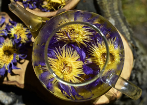 MEILLEURE VENTE Fleurs de lotus bleu séchées au Viet Nam offrant un arôme apaisant et un soutien doux pour le bien-être quotidien - Product Image 6