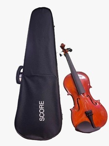 Violon pour débutant avec étui en polystyrène OEM - Product Image 3